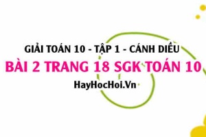 Giải bài 2 trang 18 Toán 10 tập 1 SGK Cánh Diều